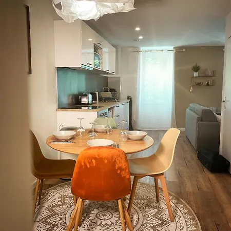 Au Coeur De Castres, Cosy Classe 3*** *